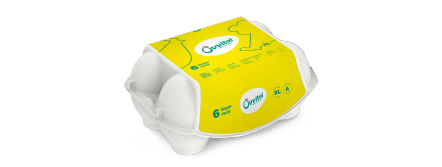 Pasture-Raised Eggs 12 Ct Large Carton
